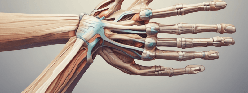 Ulnar Nerve Entrapment Syndromes in Elbow and Forearm