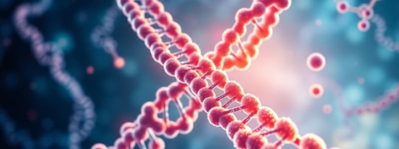 Biology Chapter: Nucleic Acids Overview