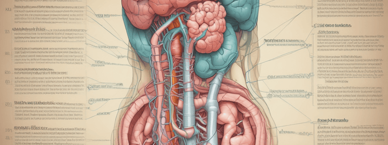 Terminology of Upper GI Tract