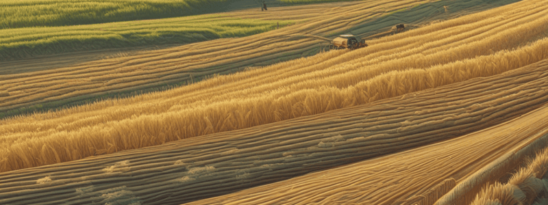 Barley Crop Management and Production