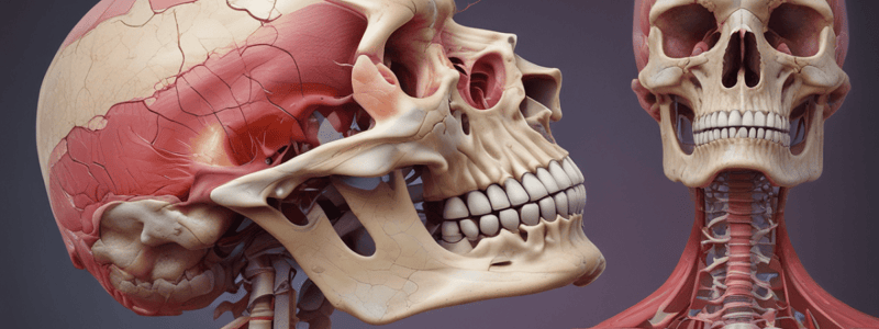 Musculoskeletal Pathology: Ewing Sarcoma