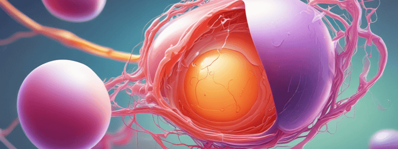 Fertilization Process Overview