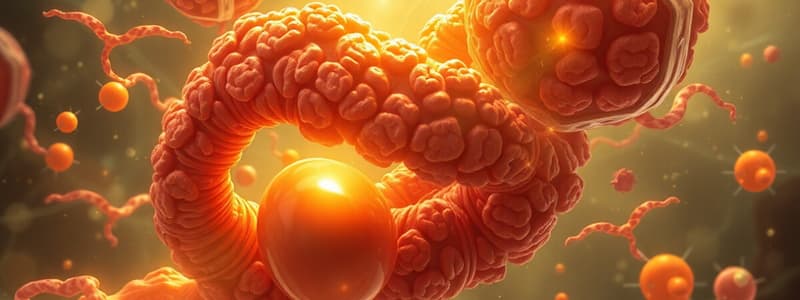 Biochemistry: Fatty Acid Metabolism