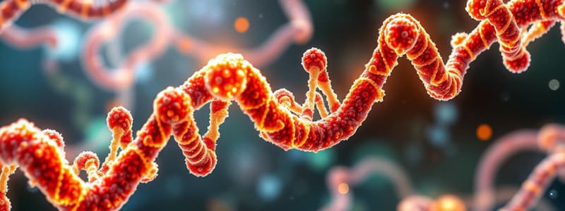 Nucleic Acids and DNA