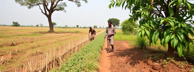 Land Tenure and Agriculture in Nigeria