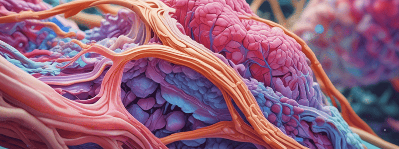 BioSci 107 Lecture 3: Connective Tissues