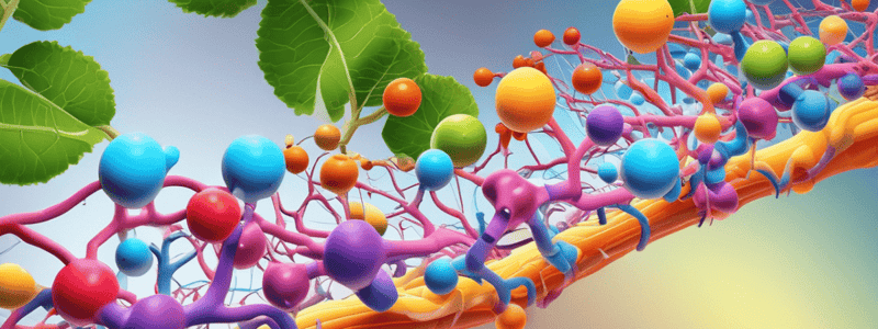 Glycolysis Pathway Overview