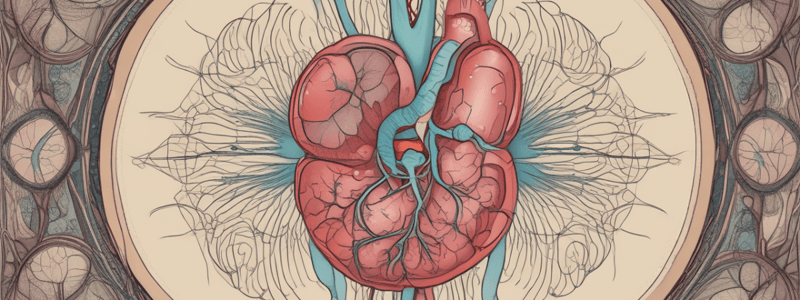 Anatomy of the Kidneys and its nephrons