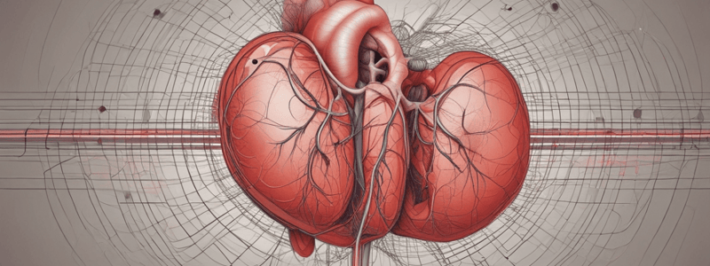 Cardiovascular System: Heart and Pericardium