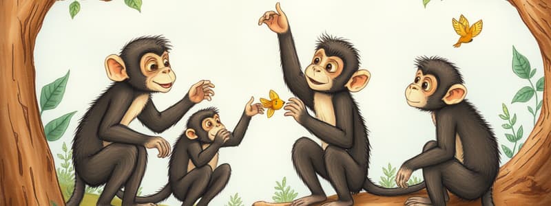 Introduction to Monkeys