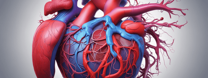 The Cardiovascular System: The Heart Anatomy Quiz