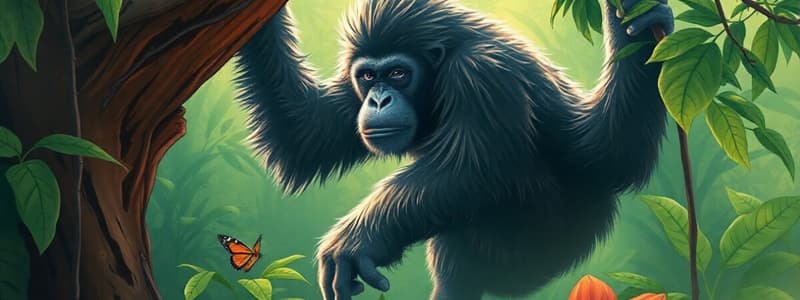 Orangutan Conservation Impact Quiz