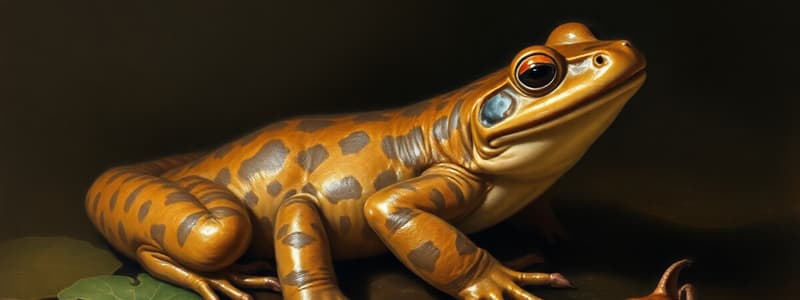 Amphibians and Chordates Quiz