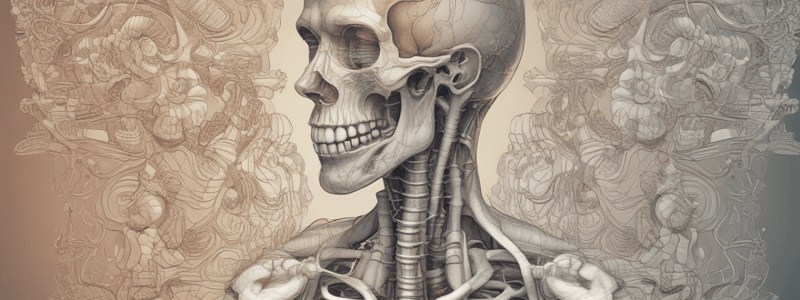 The Respiratory System