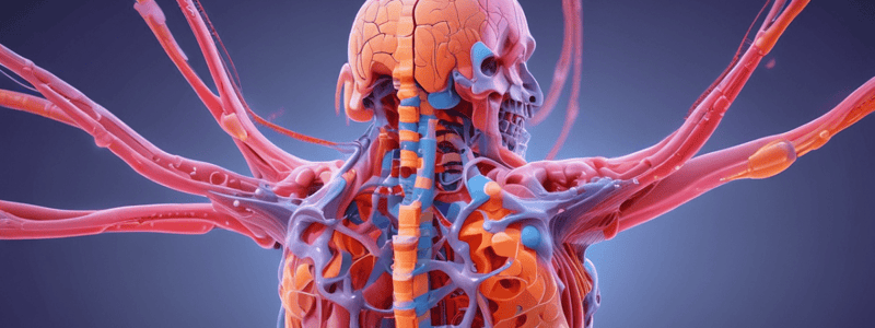 Spinal Cord Syndromes Overview