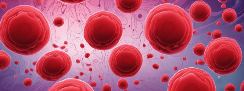 Biochemistry of Red Blood Cells