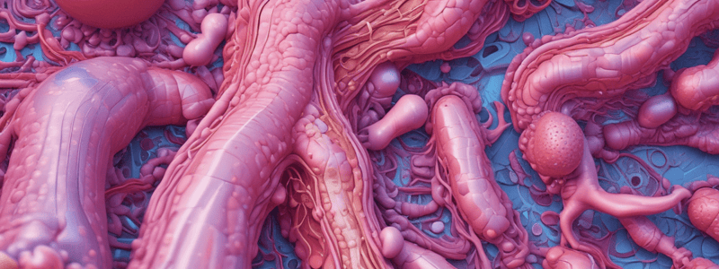 Neoplasia: Definition, Classification, and Causes