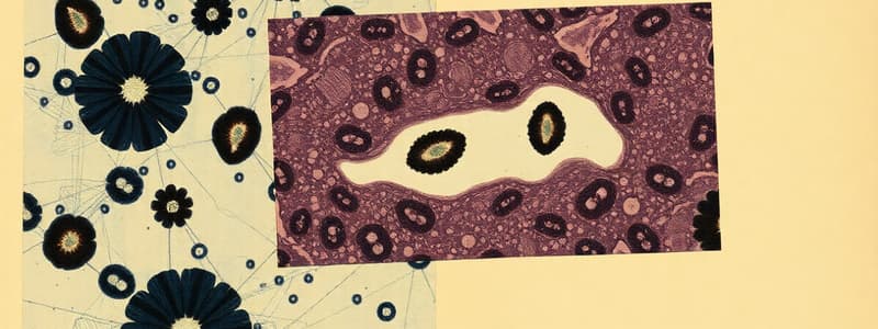 Specimen Preparation Techniques in Histology