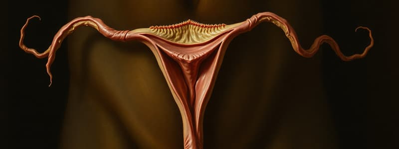 Male Reproductive System Quiz