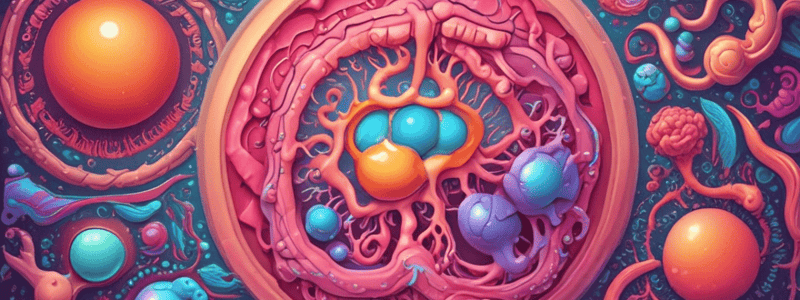 Reproductive System