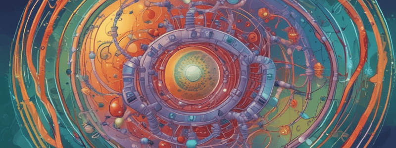 Cell Cycle Checkpoints in Molecular Biology