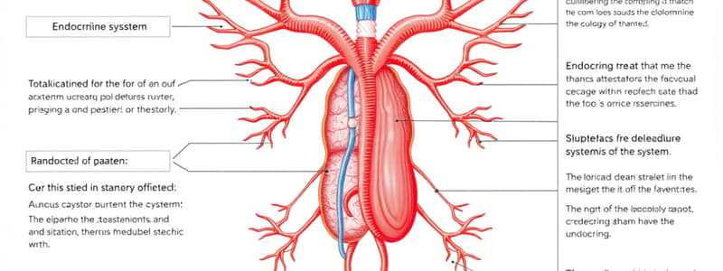 Endocrine System Flashcards - Chapter 13