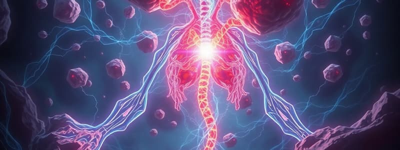 Adrenal Pathologies Overview