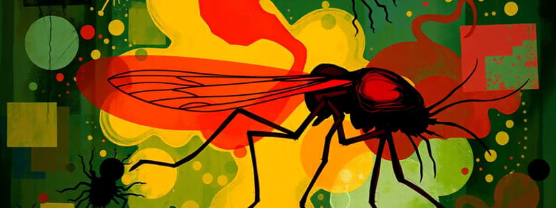 Plasmodium and Malaria Overview