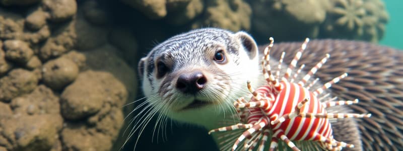 Population Dynamics of Sea Otters and Lionfish