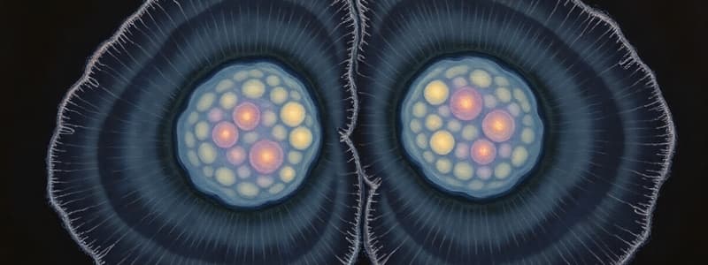 Mitosis: Cell Growth and Division