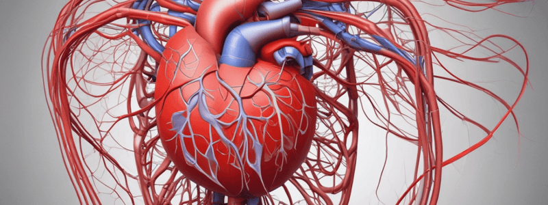 Cardiovascular System Circulation: NSCI5720 Vertebrate Anatomy & Physiology