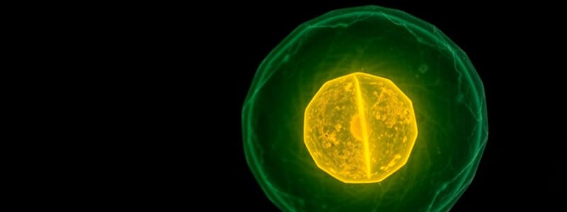 Cell Division and Mitosis Overview