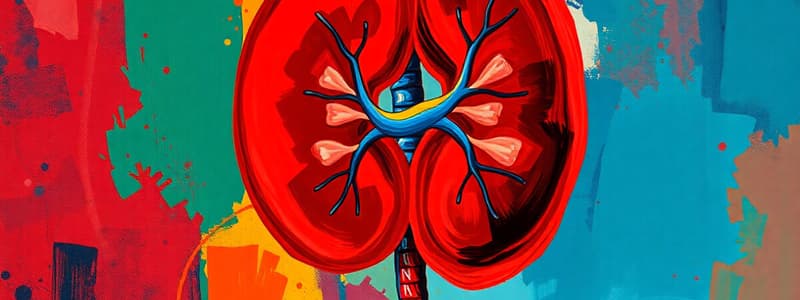 Kidney Functions and Disorders Quiz