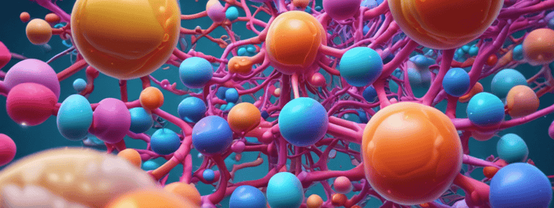 Pharmacology Quiz: Mechanisms and Drug Characteristics