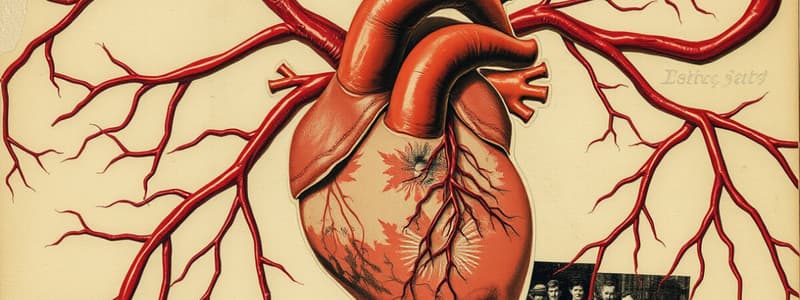 Circulatory System Overview