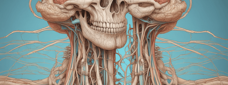 Nervous System Development