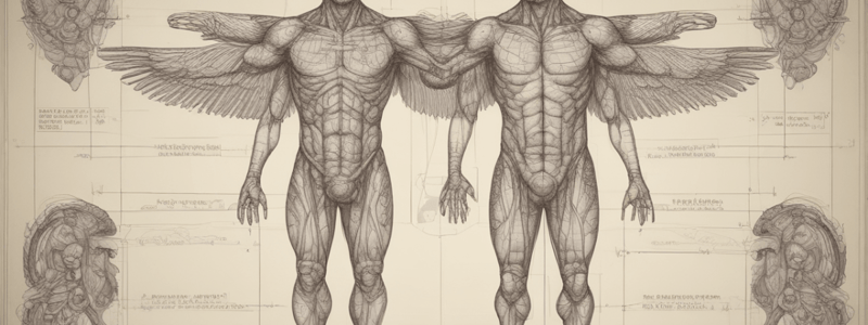 Animal Body Plans Overview