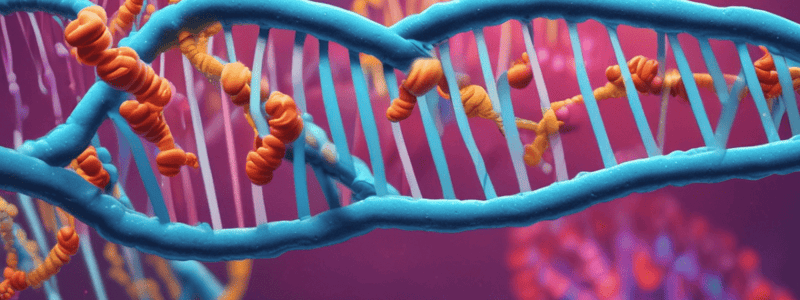 DNA Replication Process