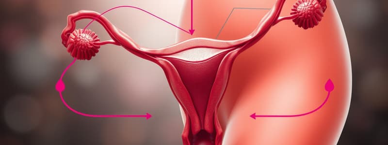 Biology Chapter 2.3 Hormonal Regulation in Menstrual Cycle