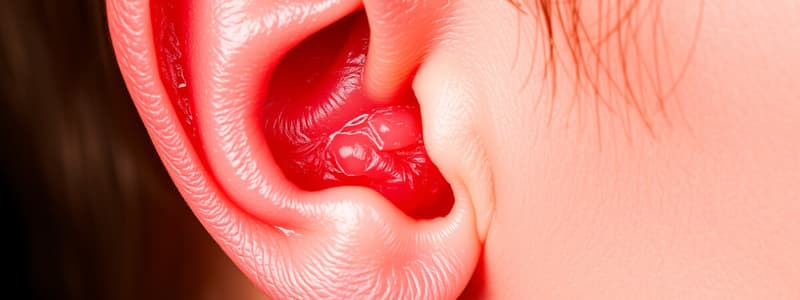 Ear Disorders: Otitis Externa vs Media