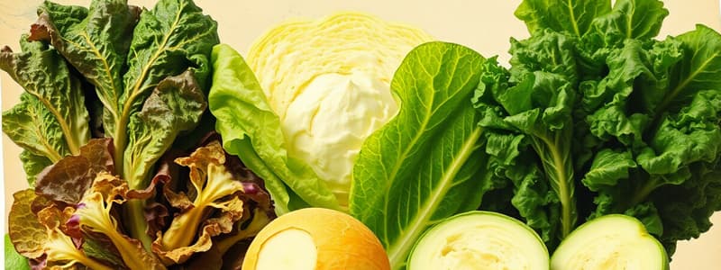 Types of Lettuce Quiz