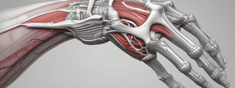 Elbow Biomechanics