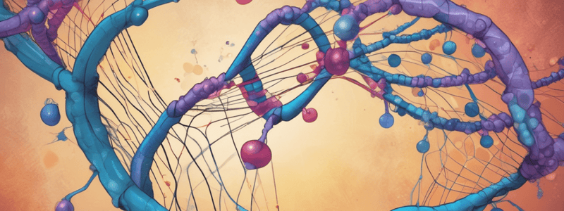 Molecular Biology: mRNA to DNA