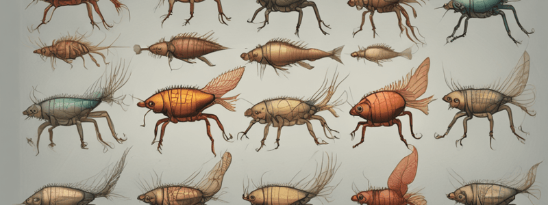 Biology: Evolutionary History of Arthropod Body Plan