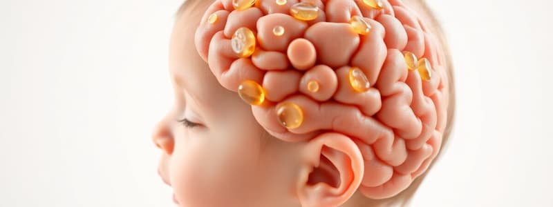 Infant Brain Development and Nutrition