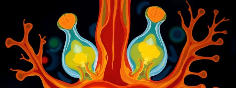 Developmental Biology Fundamentals