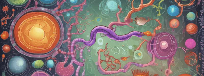 Metabolic Pathways of Glutathione and Uronic Acid