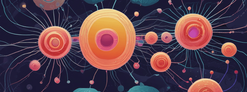 Cell Nucleus and Cell Division