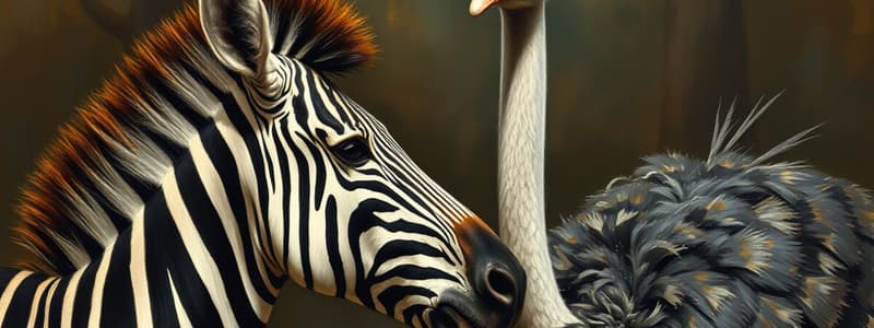 Zebras and Ostriches Quiz