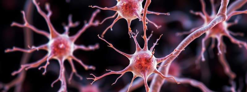 Neurons and Glial Cells Overview